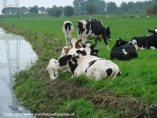 Hollands-Utrechts Polderpad