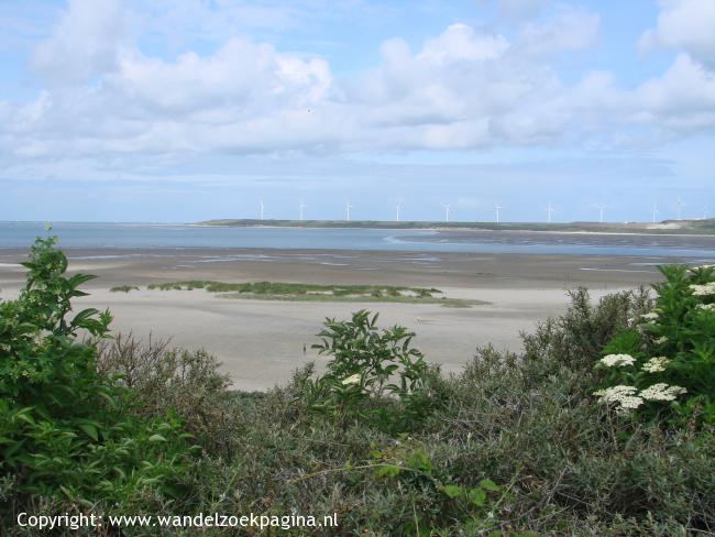 Vogelboulevardroute