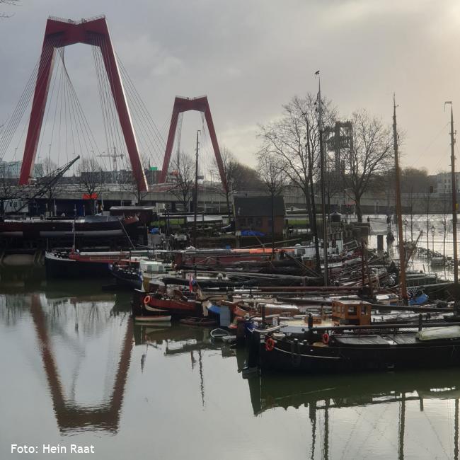 Herleefde havens Rotterdam