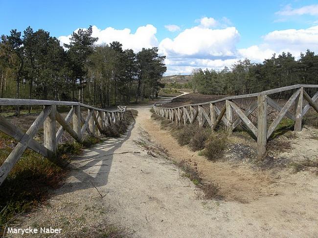 Wandelsporen Raalte - Ommen