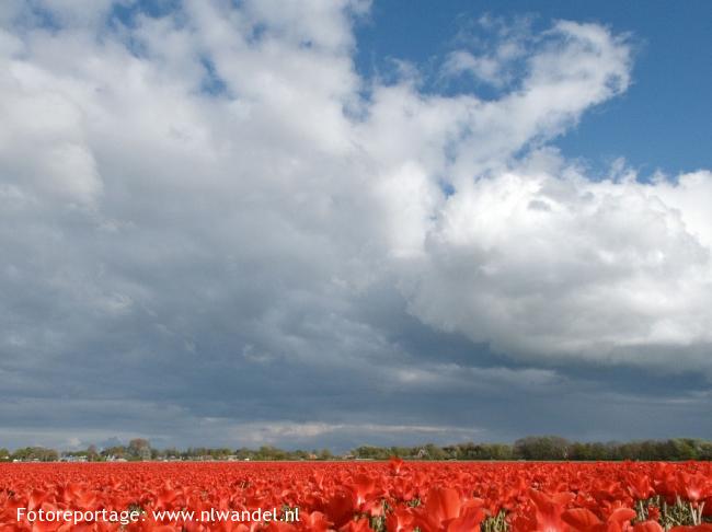 Heiloo Egmond ad Hoef Castricum
