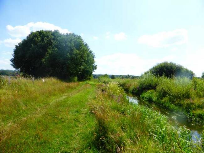 Beek de Leigraaf