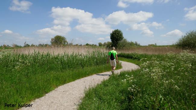 Vanuit Ommoord naar de Rotte (SK-02)