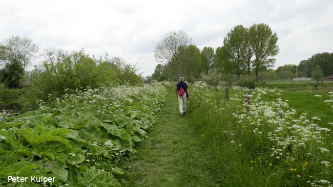 Over het jaagpad langs de Hollandse IJssel