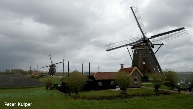 Drie molens van de molenviergang bij Zevenhuizen