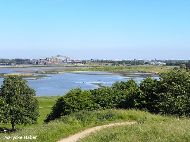 Zicht op de Crezéepolder vanaf de uitkijktoren