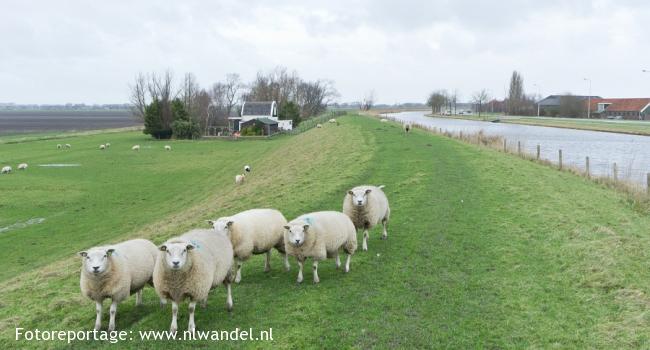 Groene Wissel Purmerend Overwhere