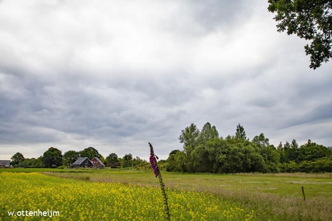 Langs Stenen bergen en Zuurse Duinen