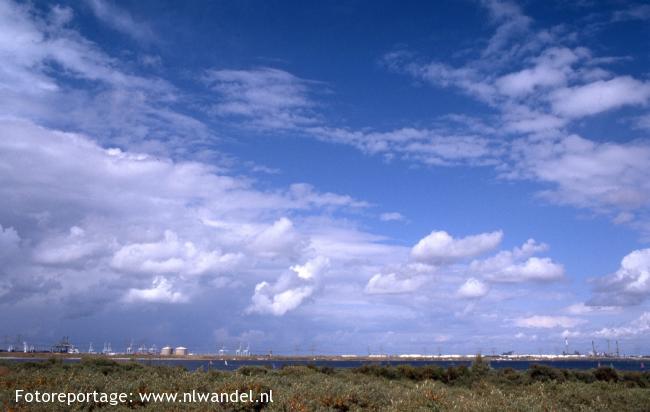 Groene Strand, skyline Maasvlakte