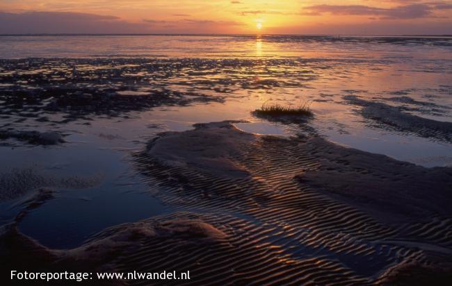 Slikken van Oostvoorne