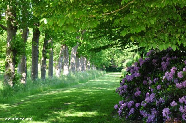 Wandelvanuit Steenwijkerland