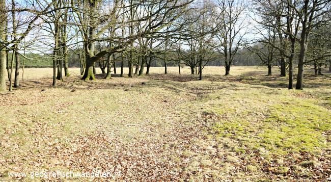 Kapelheuvel Wolfheze