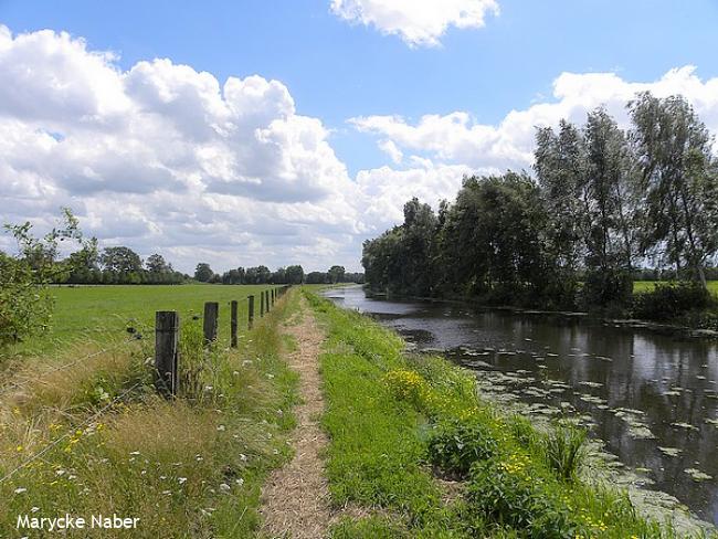 Langs de Loolee