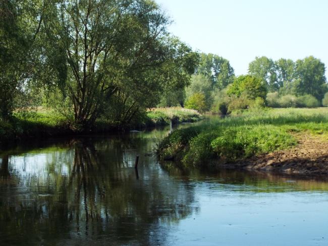 Het Meierijse Peppellandschap