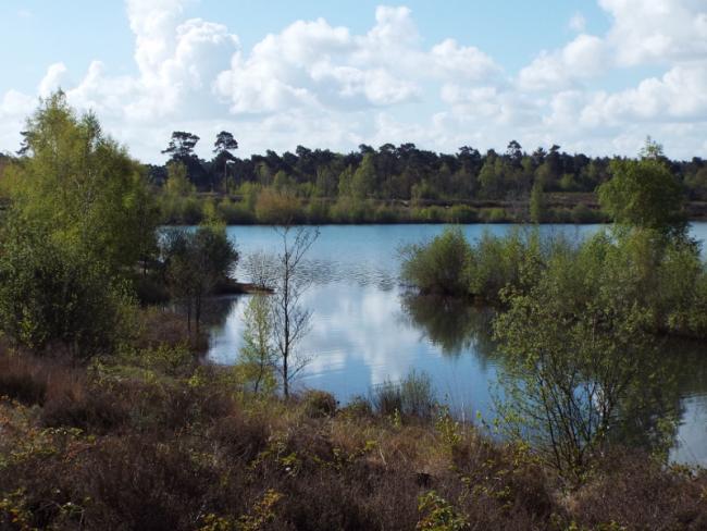 Maasduinen-tocht