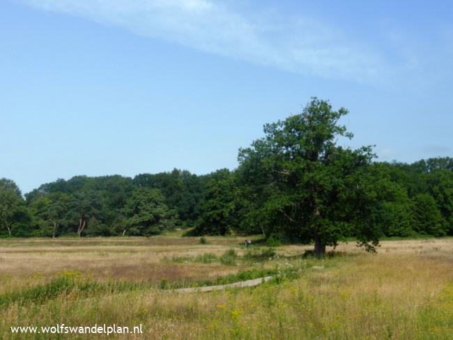 Trage Tocht Renkum 2