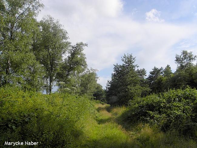 Wandelsporen Ommen - Dalfsen