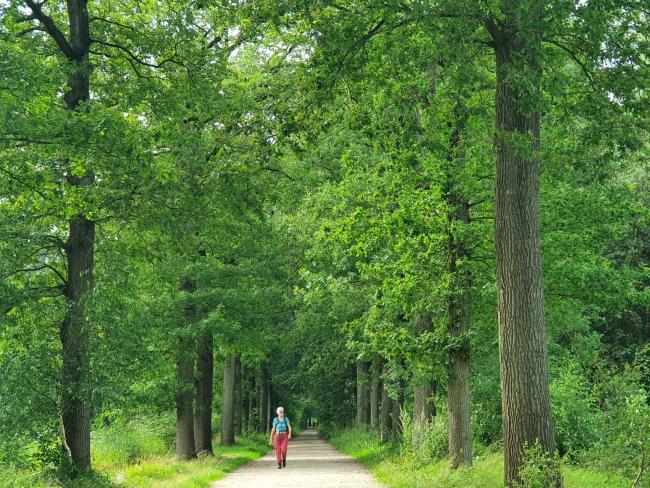 Trage Tocht Woudenberg 2