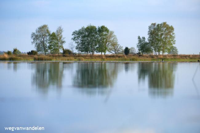 Koelevaartsveen