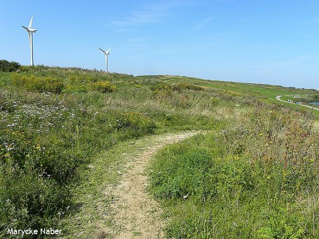 Bijzondere bergwandeling Haarlemmermeer