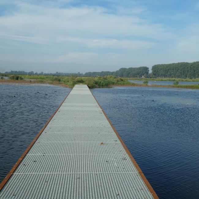 Dordtse Biesbosch en Elzenbos