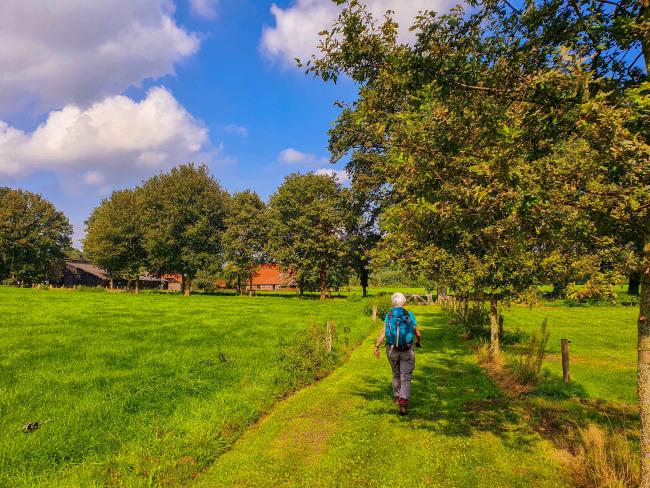 Trage Tocht Diepenheim 2