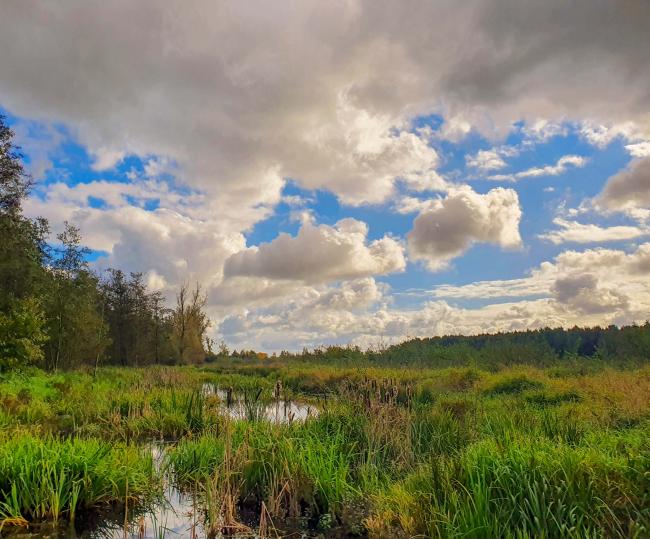 Trage Tocht Broekhuizen