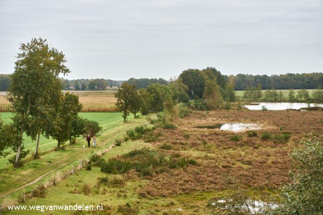 Weg van Oud-Avereest