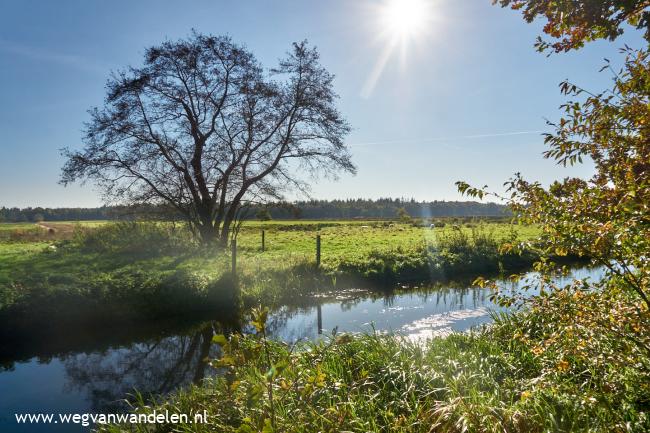 Weg van Hemrik