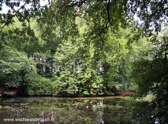 Trage Tocht Diepenveen