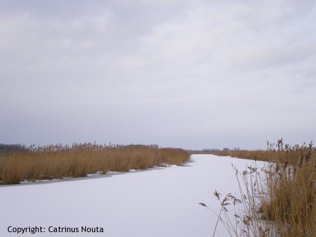 Elfstedentocht - etappe 10