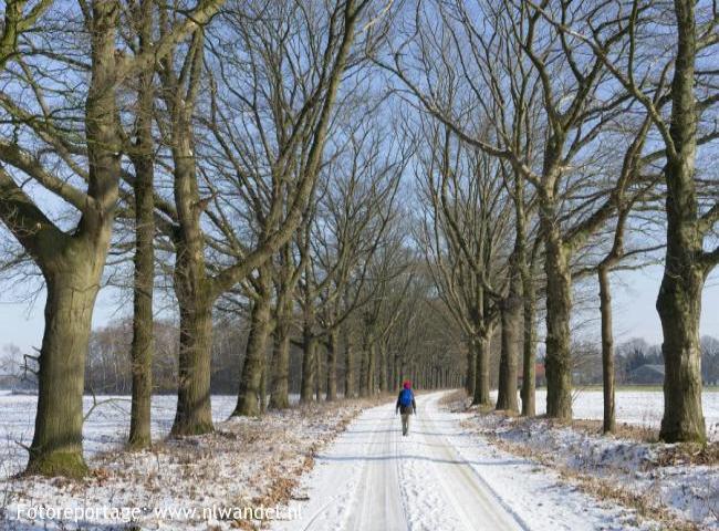 Groene Wissel Wolfheze 2