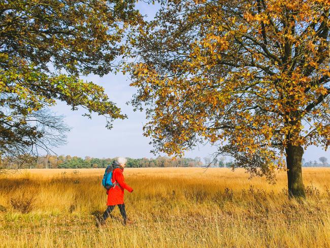 Trage Tocht Boetele