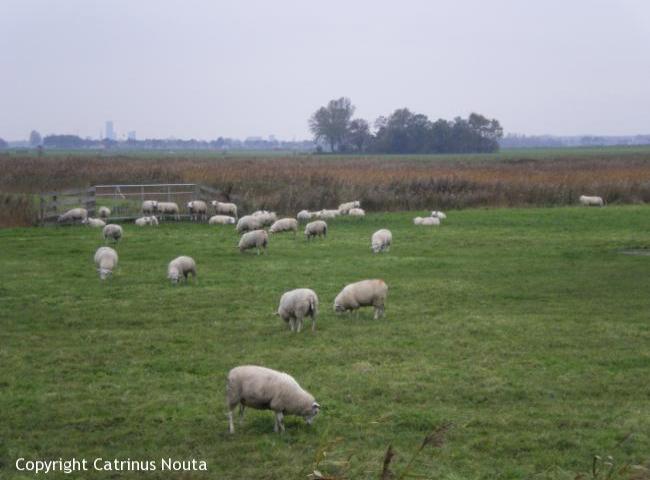 Elfstedentocht - etappe 14