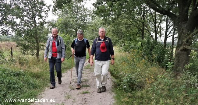 Langs theekoepels en verstilde landgoederen