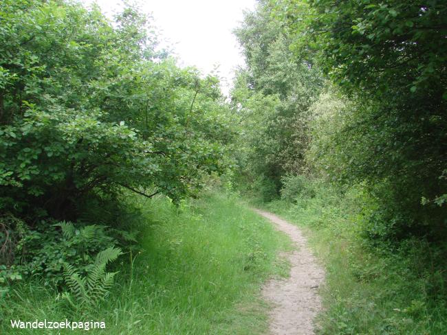 De Grote Ommeloop van de Duinen van Oostvoorne