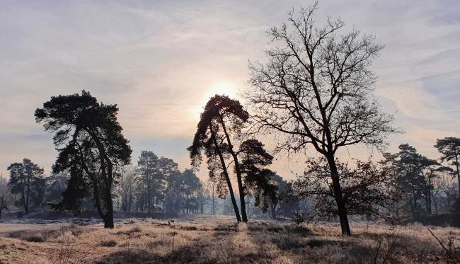 Trage Tocht Treekerduinen