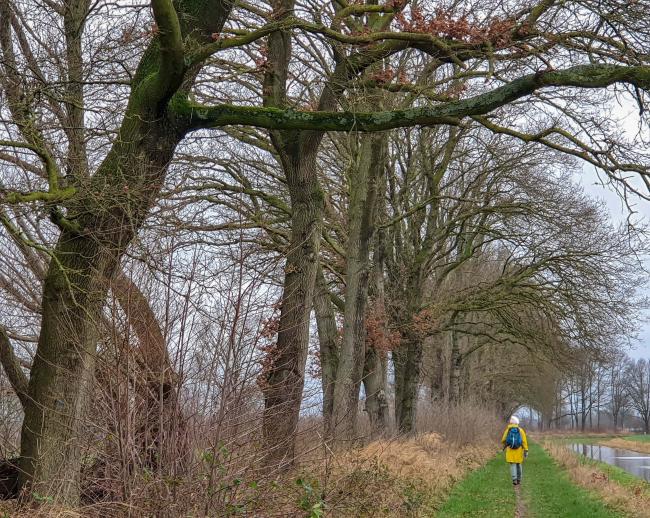 Trage Tocht Halle