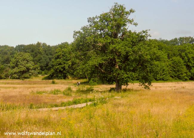 KANkorter Renkum Quadenoord