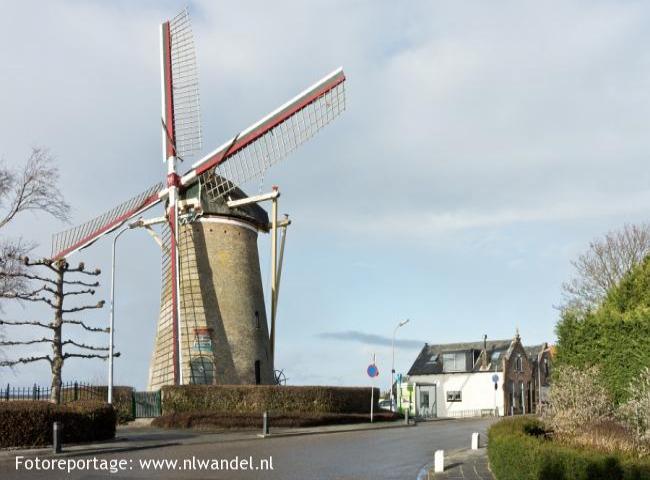 Nieuwe-Tonge, korenmolen de Oranjeboom