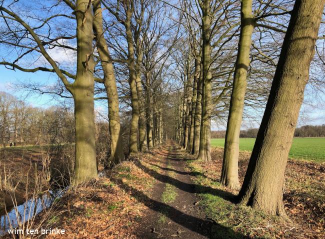 Onverhard wandelen op landgoed Sandenburg