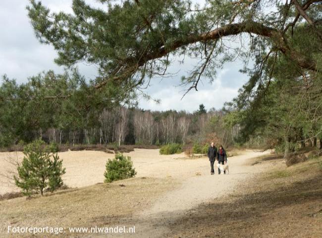 Groene Wissel Nijmegen Heyendaal