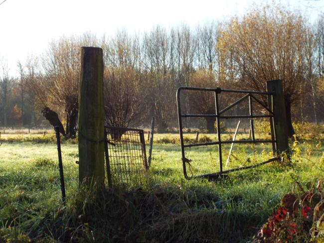 Een van de natte graslanden