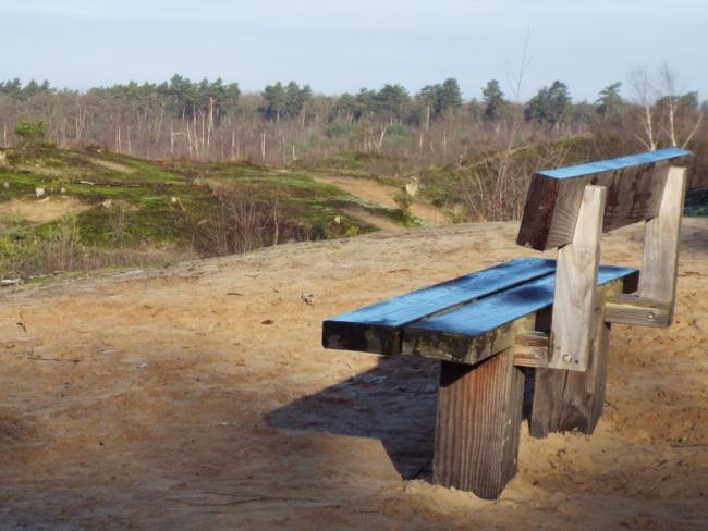 Uitzichtpunt op een stuifduin