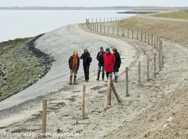 Dijk langs de Oosterschelde