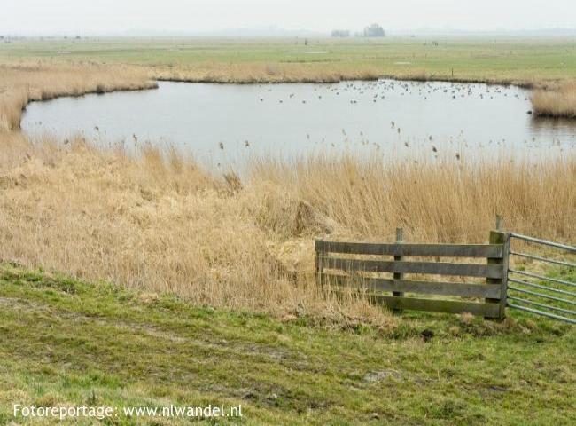 Oosterpolder, doorbraakwiel