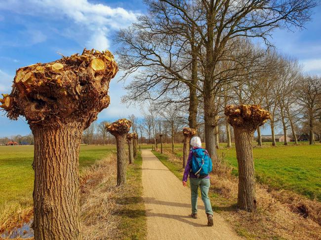 Trage Tocht Mariënvelde