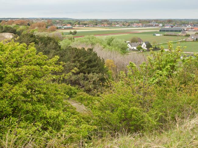 Groene Wissel Heiloo 1