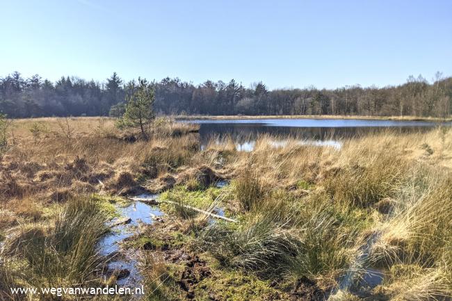 Weg van Blauwe Bos