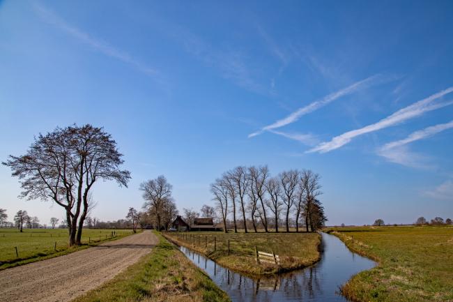 Grote ronde Onlanden